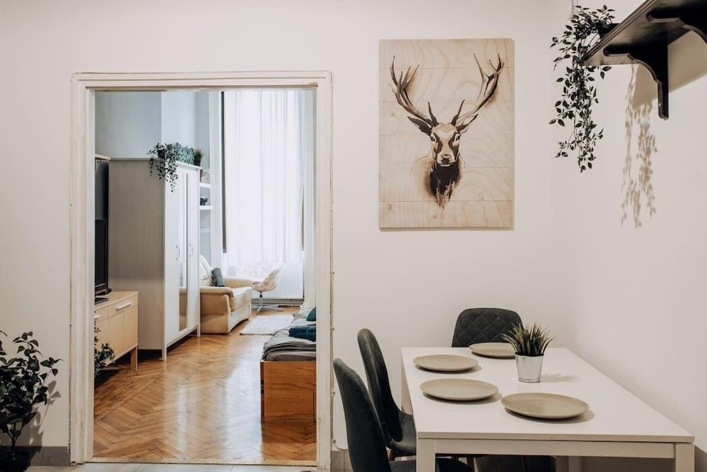 בודפשט Big Apartment In The City Centre מראה חיצוני תמונה