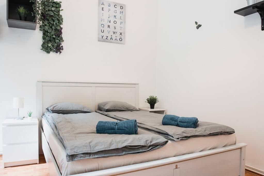 בודפשט Big Apartment In The City Centre מראה חיצוני תמונה