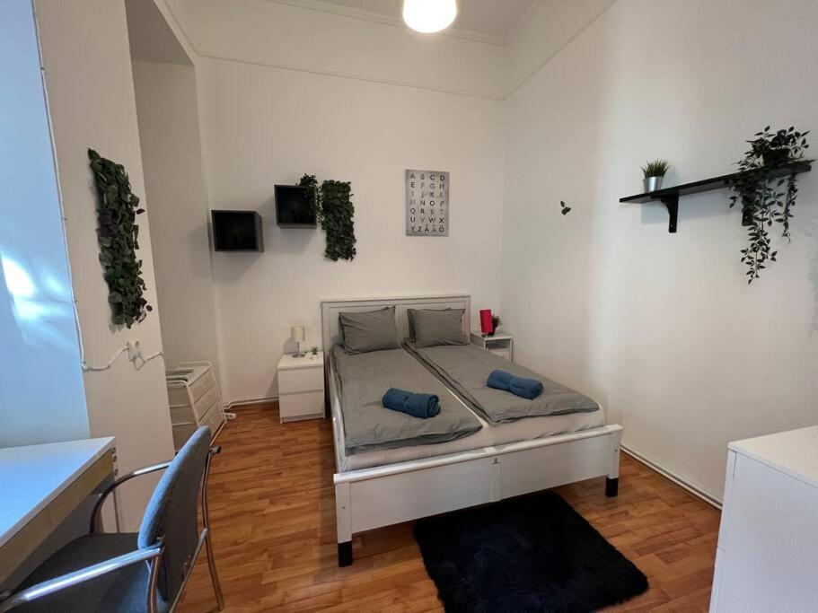 בודפשט Big Apartment In The City Centre מראה חיצוני תמונה