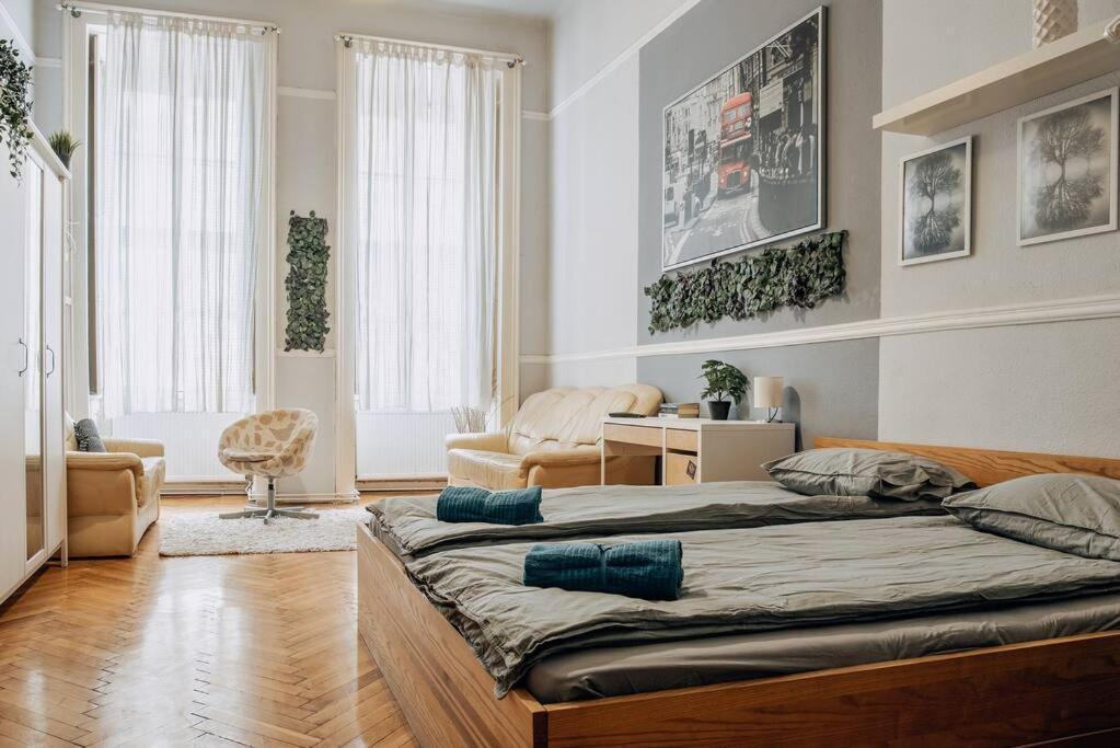 בודפשט Big Apartment In The City Centre מראה חיצוני תמונה