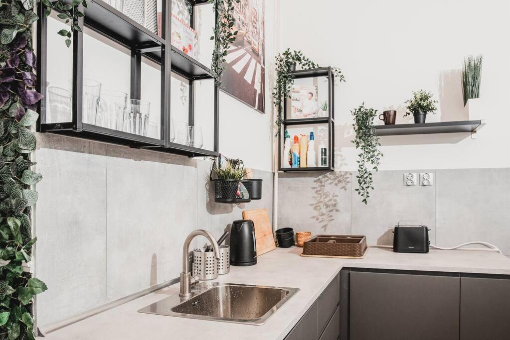בודפשט Big Apartment In The City Centre מראה חיצוני תמונה