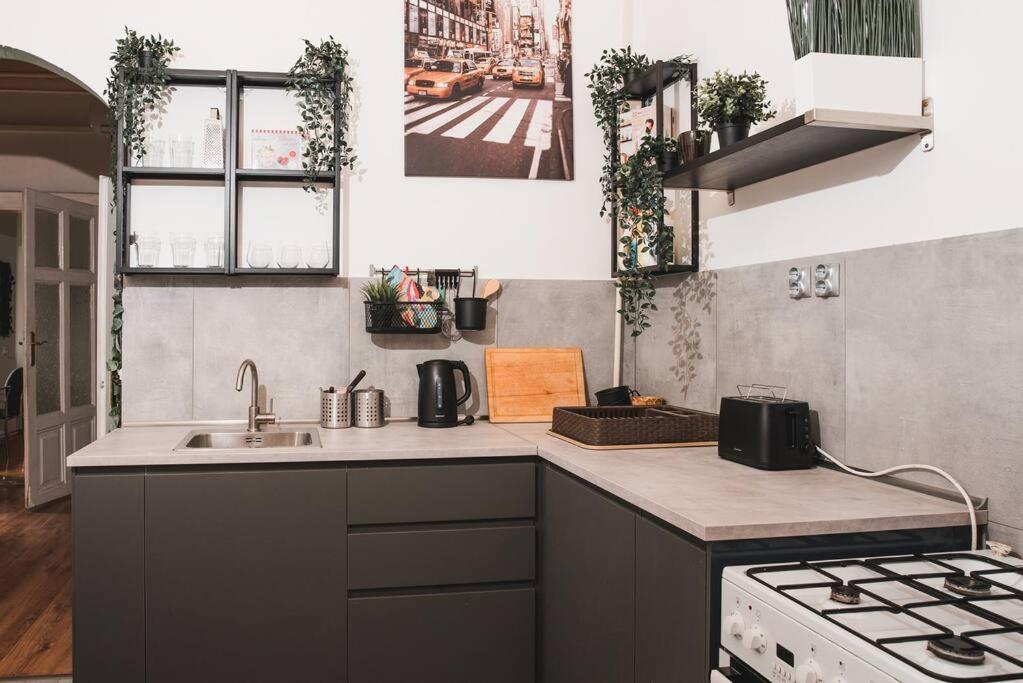 בודפשט Big Apartment In The City Centre מראה חיצוני תמונה